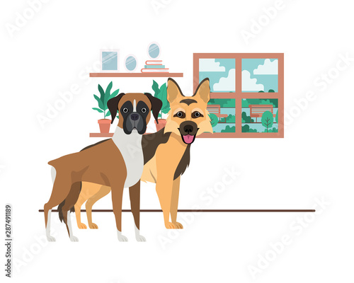 cute and adorable dogs in living room