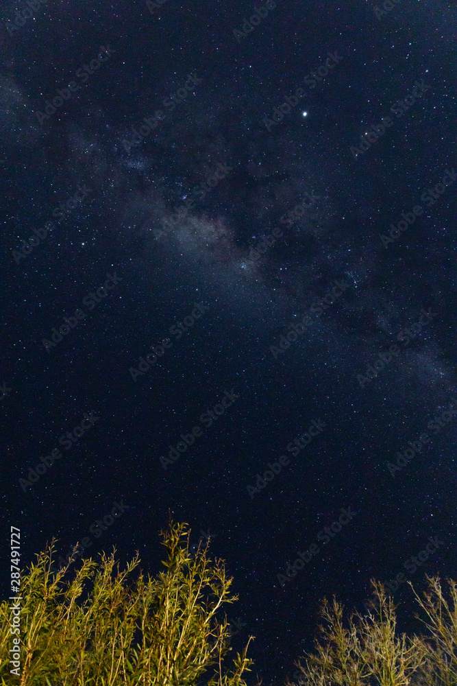 the milky way and constellations visible from the southern hemisphere