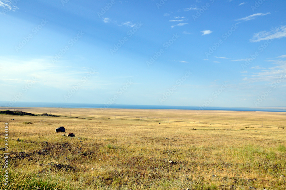 Obraz premium Grass Field and mountains at dramatic overcast sky in Kazakhstan, central Asia