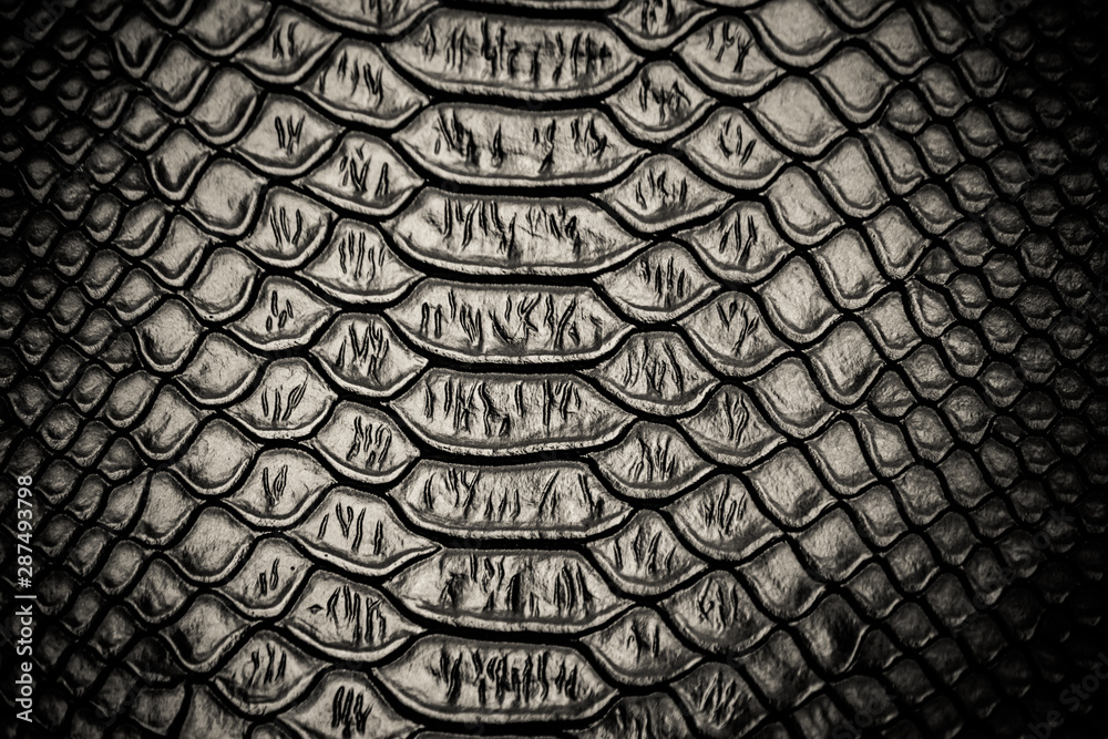 Black snake skin pattern texture - obrazy, fototapety, plakaty 