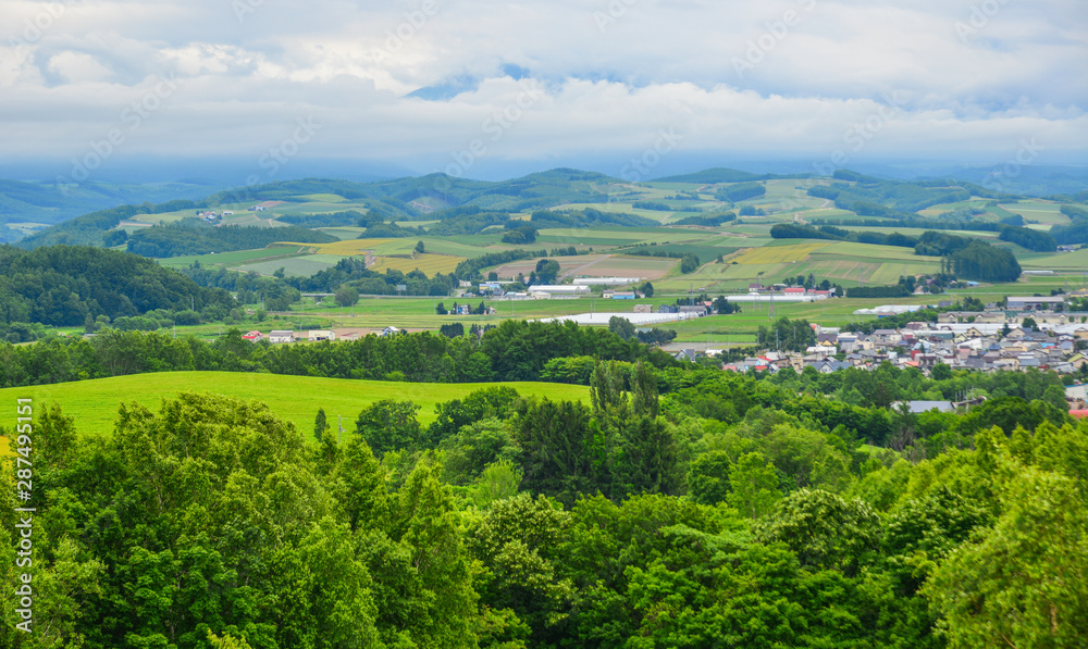 Naklejka premium Beautiful rural scenery at summer day