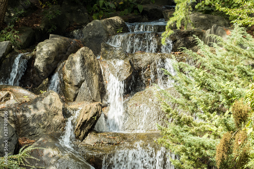 cascading waterfall inside park on a sunny day with tree branches with green leaves on the side