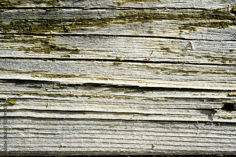 old peeling paint. wood texture. the background old peeling paint. wood texture. the background