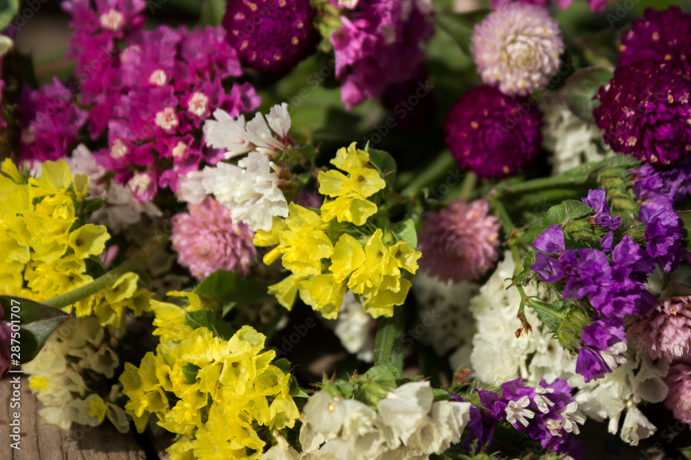 Gomphrena globosa and Limonium - beautiful pink, yellow and white summer flowers on wooden background in the garden Gomphrena globosa and Limonium - beautiful pink, yellow and white summer flowers on wooden background in the garden