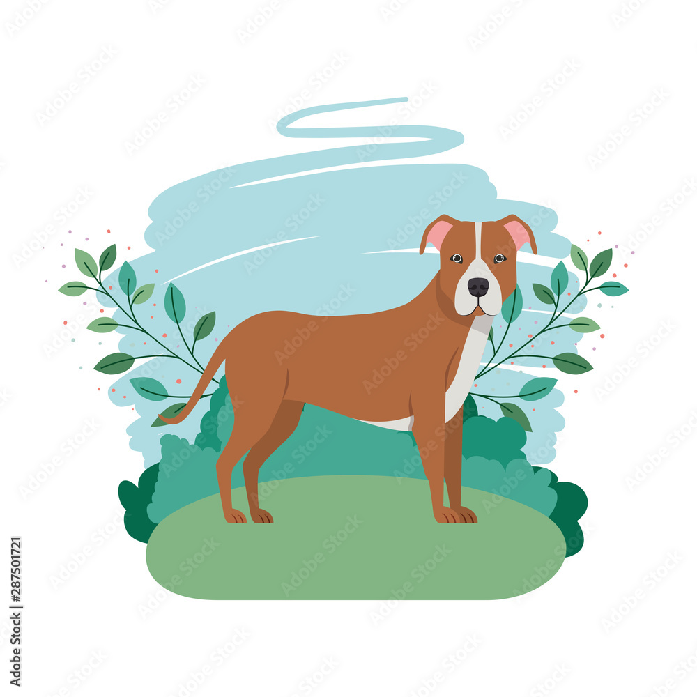 cute pitbull dog with background landscape cute pitbull dog with background landscape