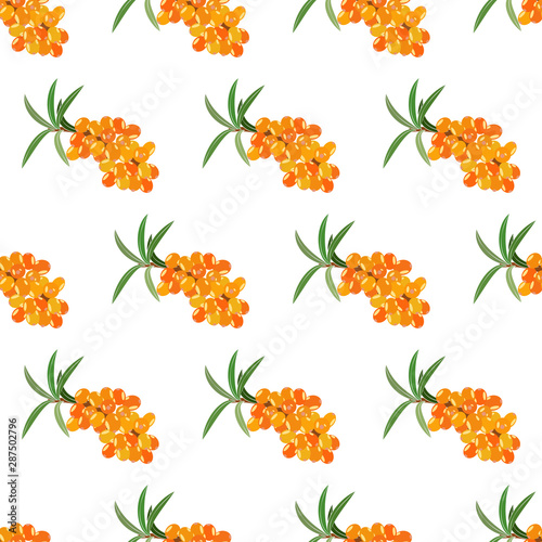 Sea buckthorn seamless pattern