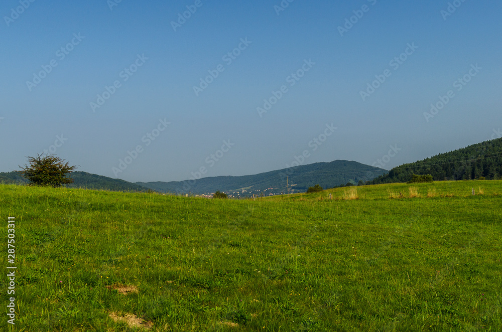 Panorama Panorama