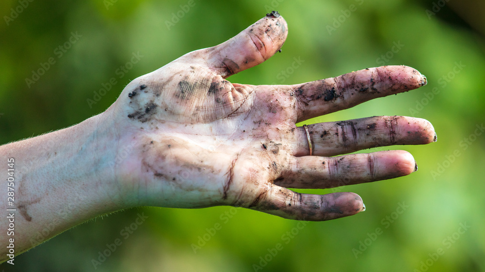 Hand in black dirt ground on nature
