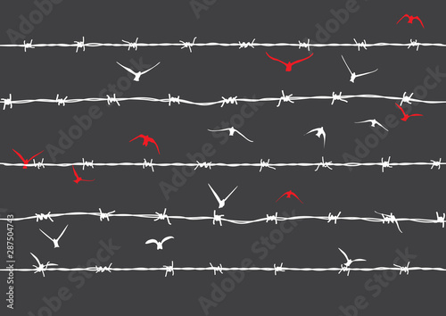 birds flying over broken barbed wire