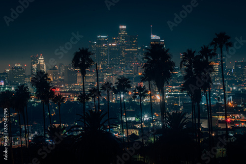 Palm trees and cityscape night skyline view of downtown Los Angeles  California