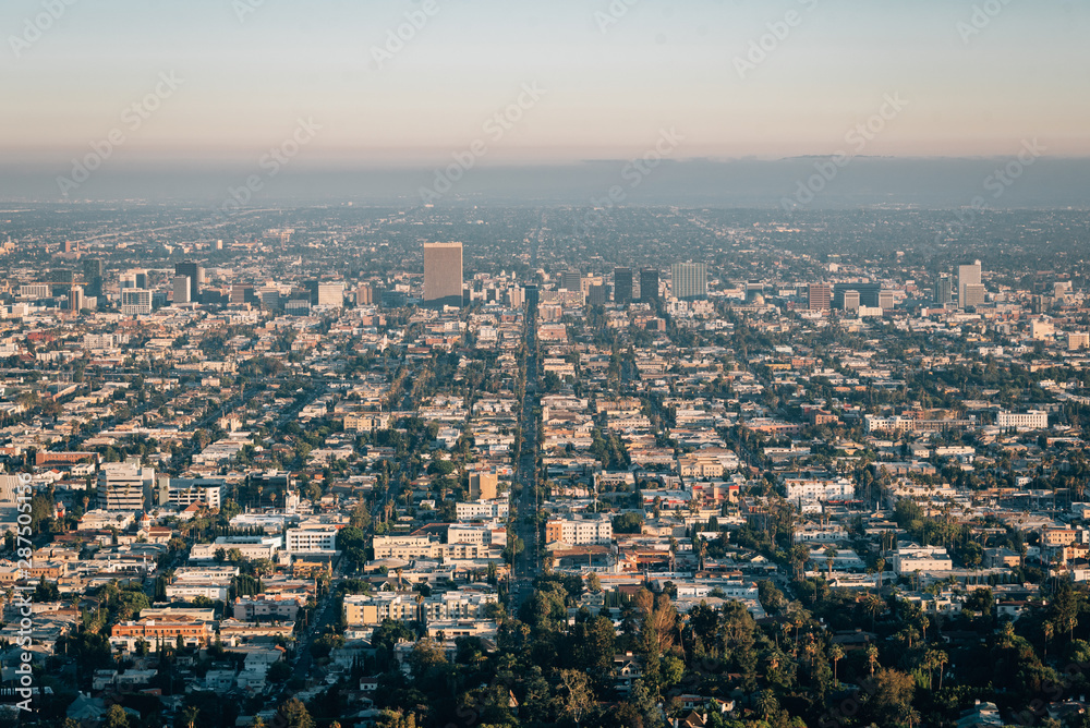 View from Griffith Observatory, in Los Angeles, California