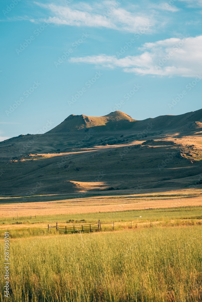Grassy fields and mountains at Antelope Island State Park, Utah