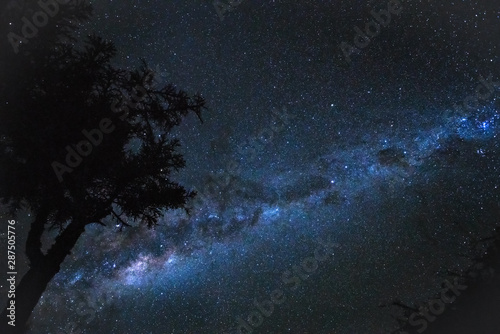 Night stars sky with Milkyway galaxy over tree silhouette, as seen from Madagascar coast in Anakao © Lubo Ivanko