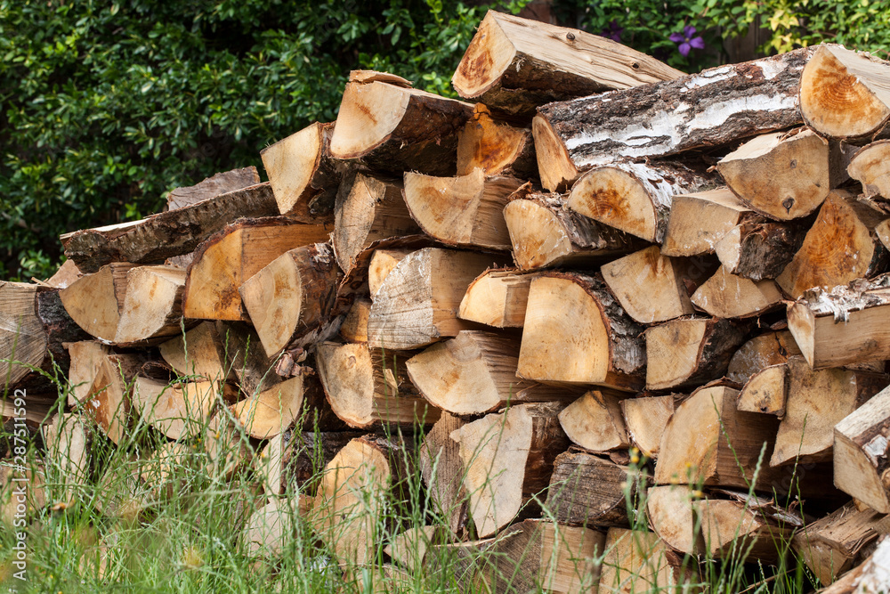Stack Of Firewood In Autumn
