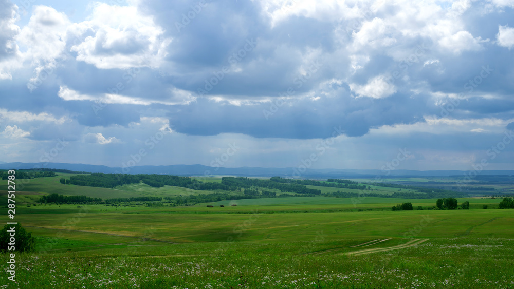 landscape, green agricultural fields on the horizon forest, and the sky with large dark Cumulus clouds
