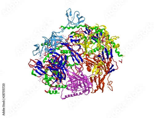 Molecular structure of Exosome complex