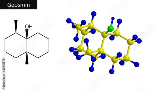 Molecular structure of geosmin