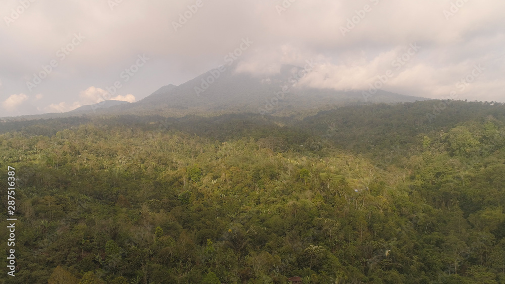 aerial view jungle, rainforest in mountains. tropical forest with trees, green lush vegetation. jungle landscape bali, indonesia aerial view jungle, rainforest in mountains. tropical forest with trees, green lush vegetation. jungle landscape bali, indonesia