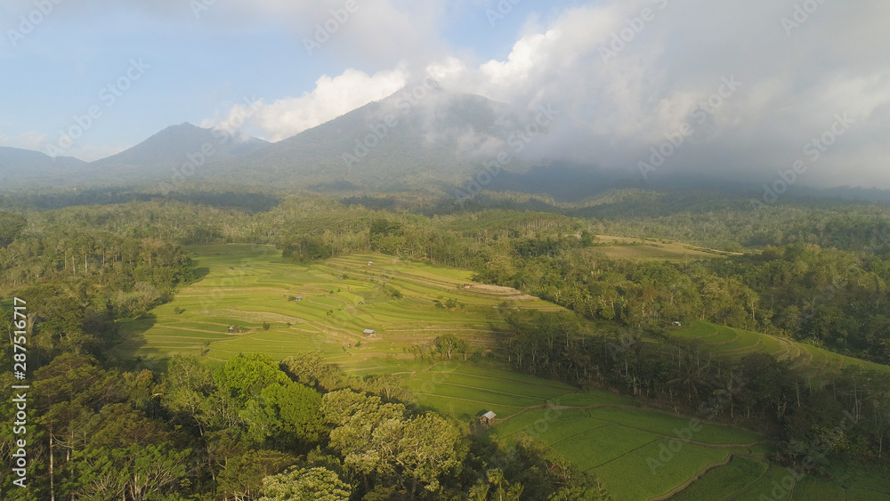 rural landscape with farmlands, rice terraces against mountains. Aerial view agricultural land on mountainside. tropical landscape Bali, Indonesia.