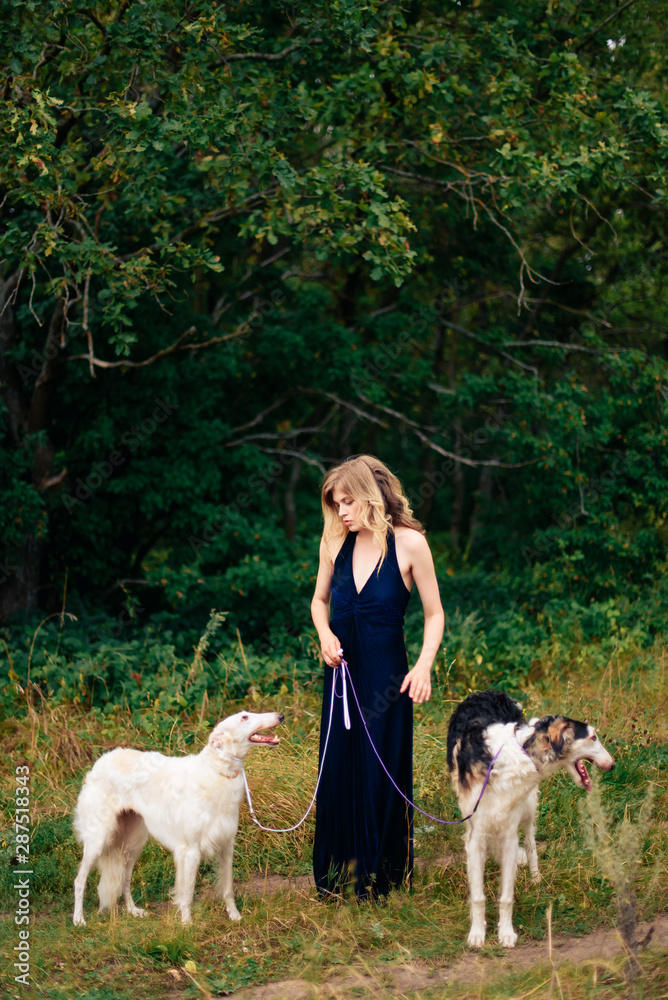 beautiful girl in a dress on nature with Russian greyhound dogs