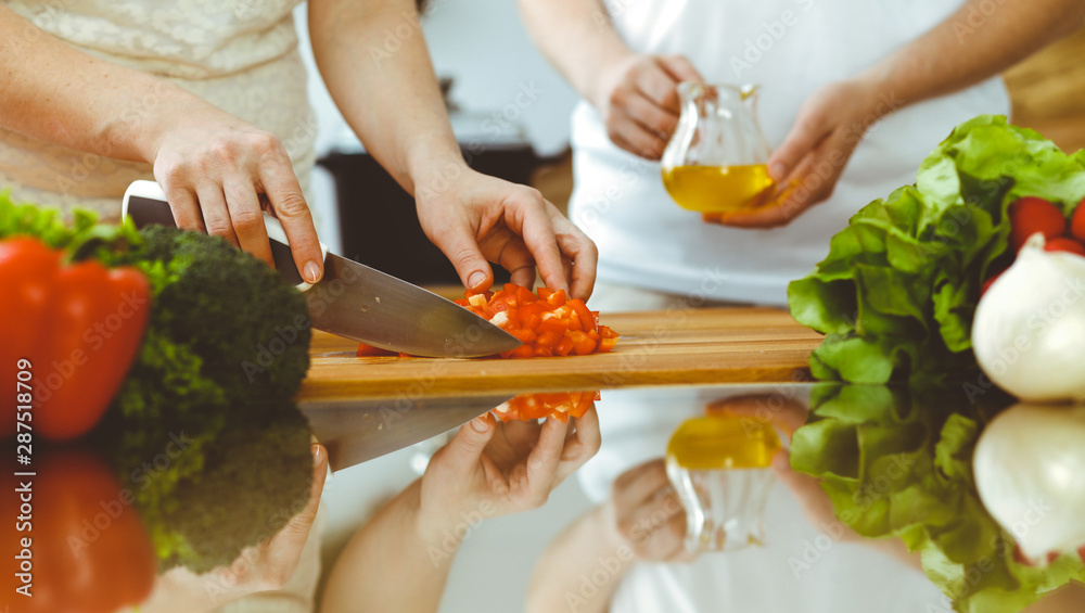 Closeup of human hands cooking in kitchen. Mother and daughter or two female friends cutting vegetables for fresh salad. Friendship, family dinner and lifestyle concepts Closeup of human hands cooking in kitchen. Mother and daughter or two female friends cutting vegetables for fresh salad. Friendship, family dinner and lifestyle concepts