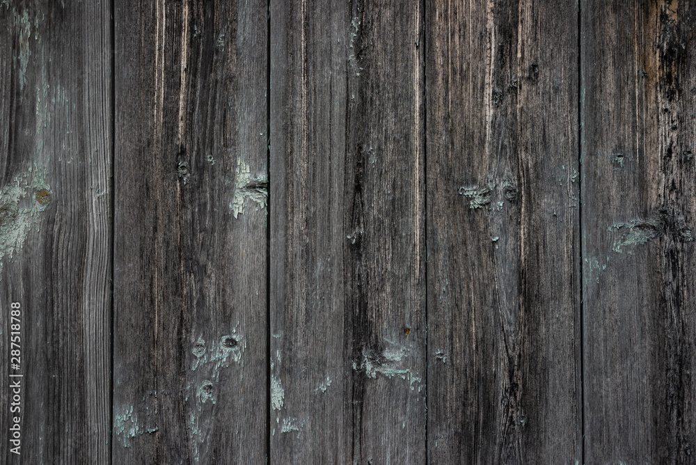 The texture of an old unpainted wall of wooden boards . Lots of knots in the boards The texture of an old unpainted wall of wooden boards . Lots of knots in the boards