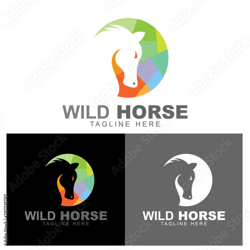 horse logo with colorful design illustration, circle and horse logo template, sport icon,  animal logo, mustang icon