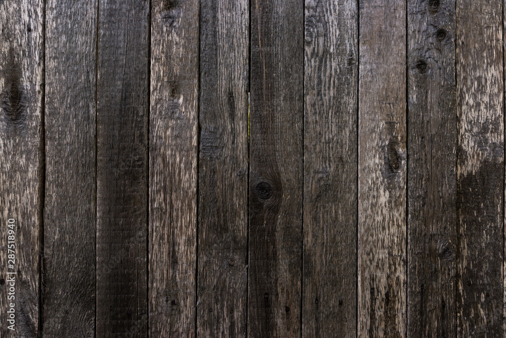 The texture of an old unpainted wall of wooden boards . Lots of knots in the boards The texture of an old unpainted wall of wooden boards . Lots of knots in the boards