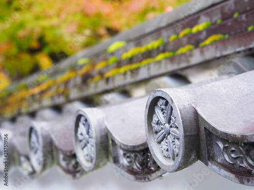 traditionlal Japanese roof with autumn nature background. photo