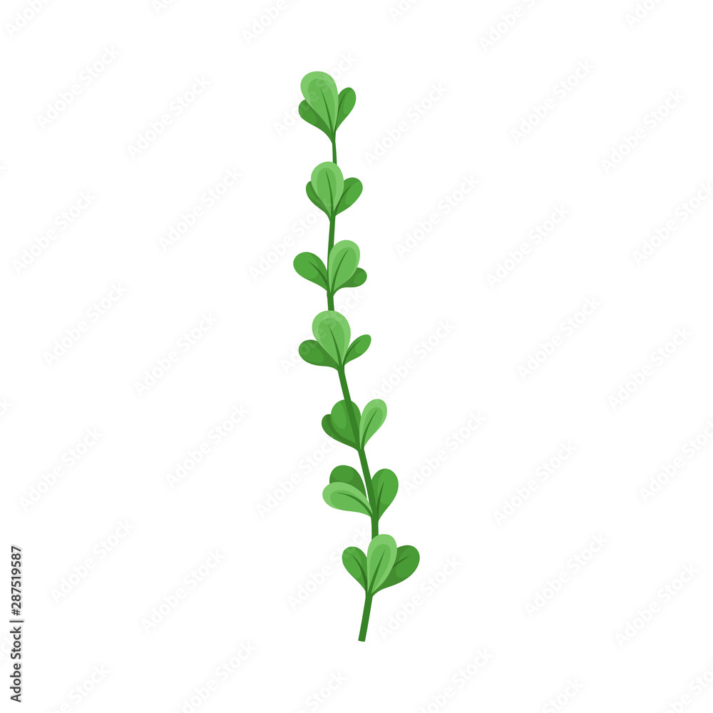 Thin stalk with small leaves. Vector illustration on a white background. Thin stalk with small leaves. Vector illustration on a white background.
