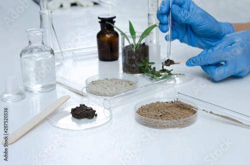 Laboratory assistant working with plants, different kinds of soil and sand, testing and analyzing results