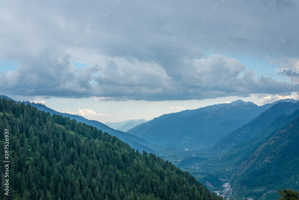 Beautiful View of Himalayas mountains and deodar tree