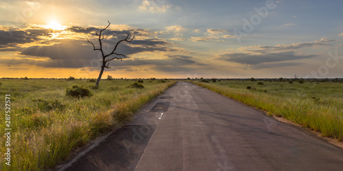 Obraz na płótnie Paved road through savanna