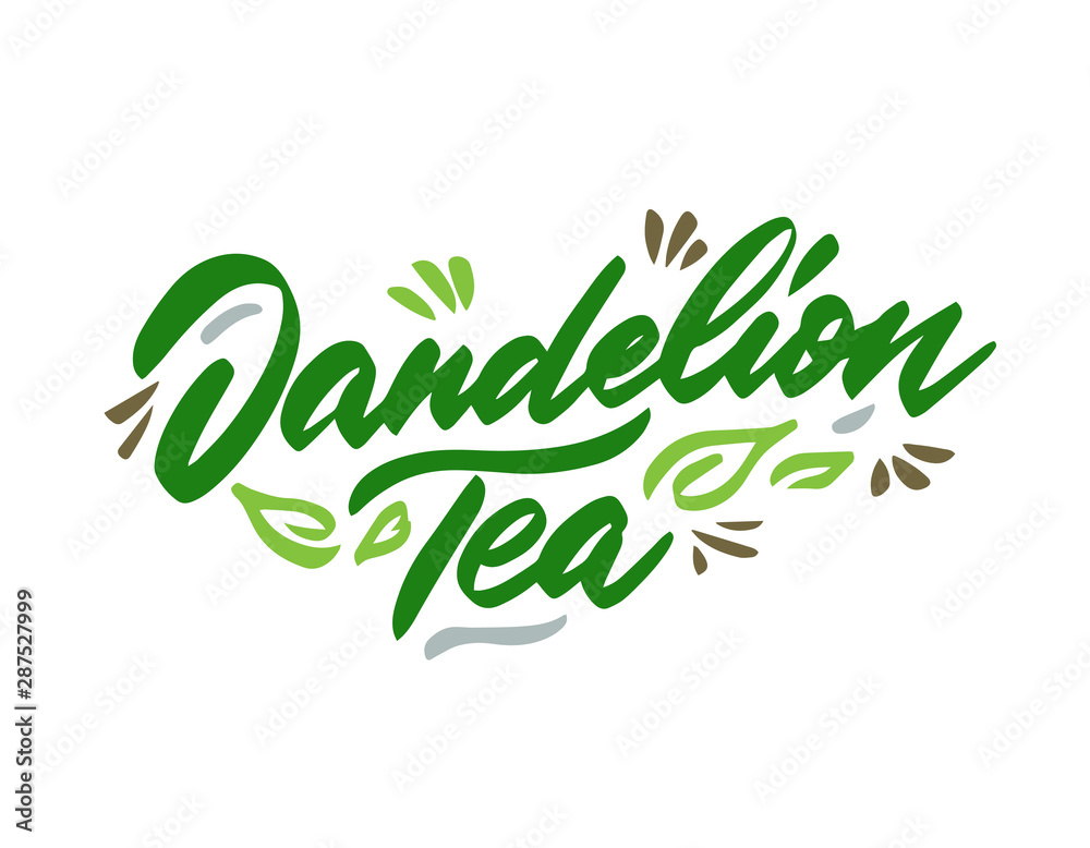 Plakat Dandelion tea hand drawn illustration. Template for card banner and poster for restaurant menu and package. Vector illustration