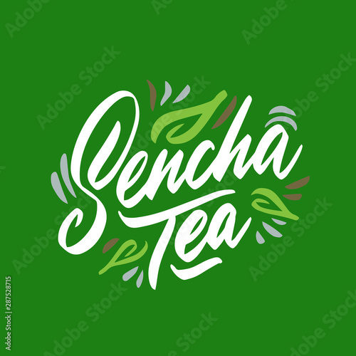Sencha tea hand drawn illustration. Template for card banner and poster for restaurant menu and package. Vector illustration