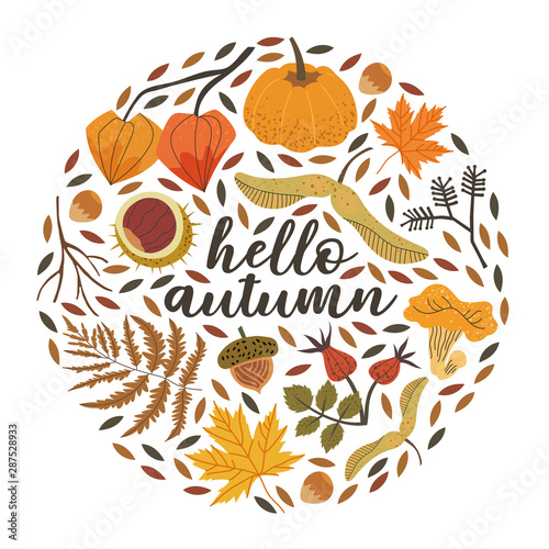 Hello autumn print for pillow, mug, greeting card, t-shirt design with floral forest and harverst illustrations such as girolle, chestnut, acorn, fern,pumpkin, brier, maple leaves in a circle frame.