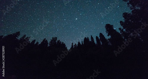 night sky with star on top of mountain surrounded by forest