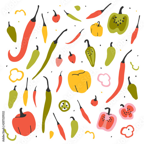 hand drawn vector illustration, various kinds of pepper vegetable. Simple colorful handdrawn drawing of cayenne, tabasco, chili, bell, sweet sorts. Cooking ingredient isolated element in sketch style.