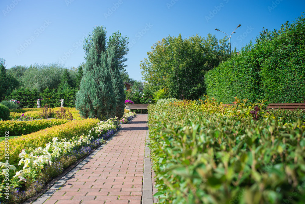 cobblestone path in the city Park between green bushes, flowers and trees, blue sky and benches in the Park