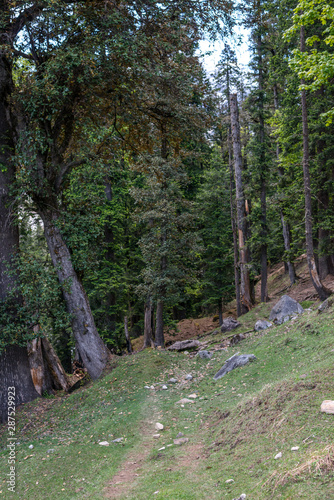 Beautiful Scenes experienced during the trek to the Hamta Pass Trek in the Himalayan Ranges photo