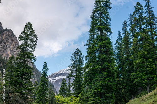 Beautiful Scenes experienced during the trek to the Hamta Pass Trek in the Himalayan Ranges photo