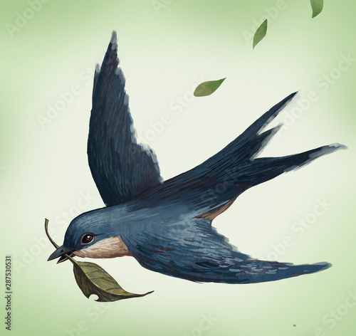 Swallow, Spring, Spring, Spring Equinox, Spring Wind, Spring, Spring, Animals, Birds, Illustrations,