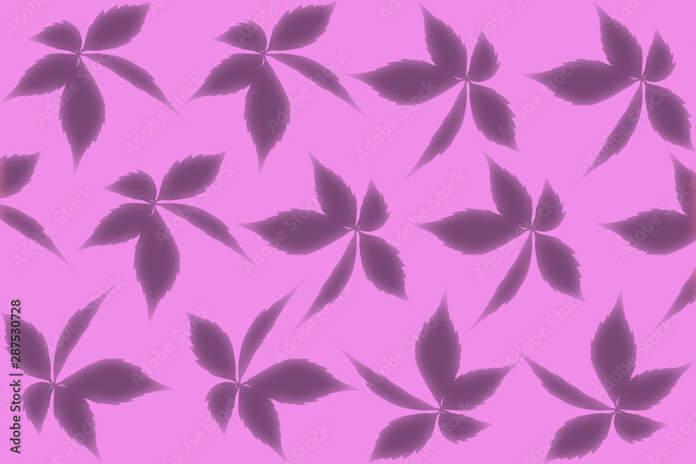 wild grape leaf shadow pattern isolated on pink background