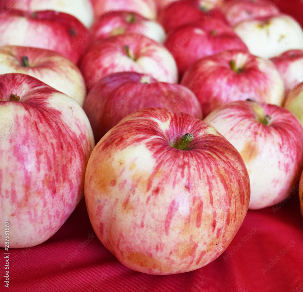 bright fragrant apples close-up bright fragrant apples close-up