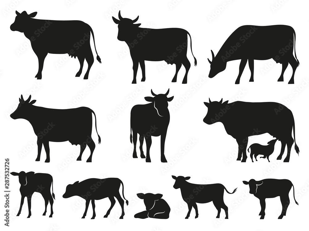 Cow silhouette. Black cows and calf mammal animals. pictogram. Farm livestock cow pictogram or countryside domestic milk cows, calf and bulls. Isolated vector icons set