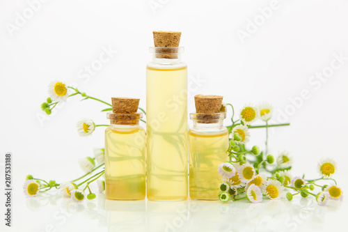 Essence of flowers on table in beautiful glass bottle