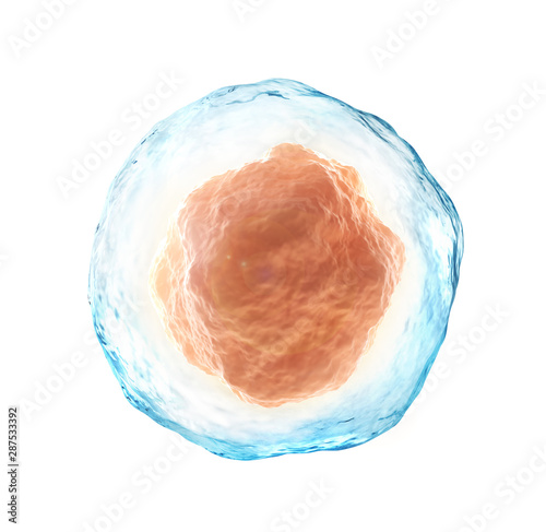 Human cell isolated on a white. 3d illustration photo