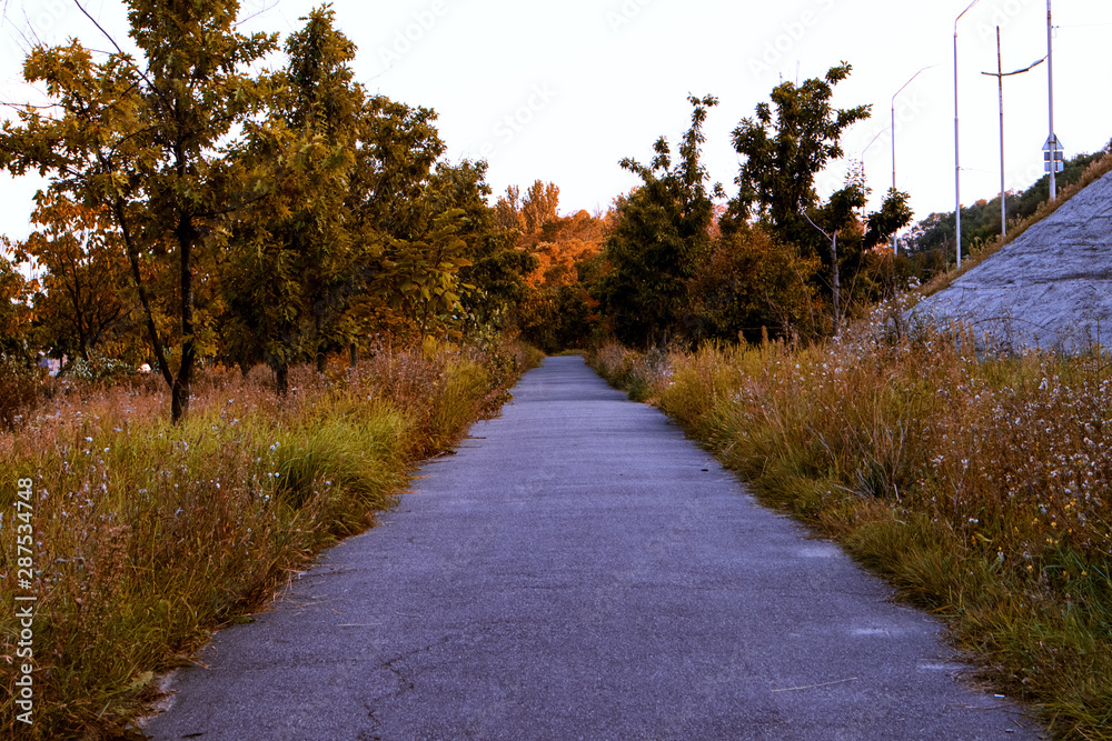 autumn in the park