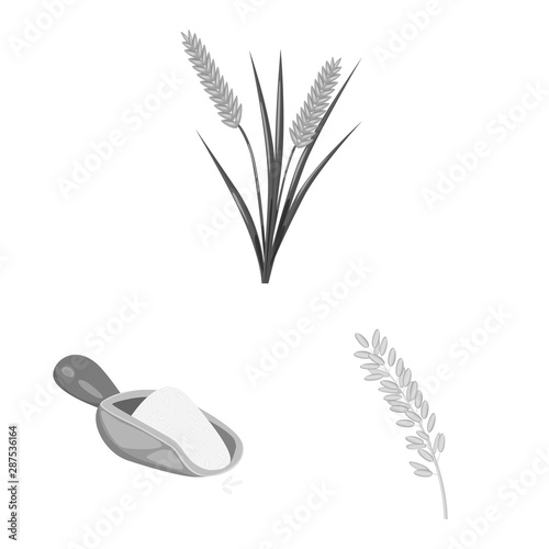 Vector design of food and organic logo. Collection of food and agricultural stock vector illustration.