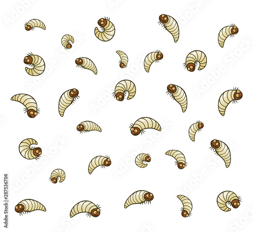 Many woodworms